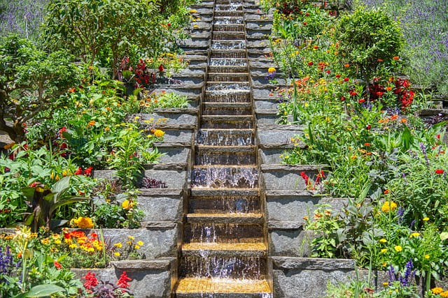 flowers-water-stairs-5354411_640 (1)