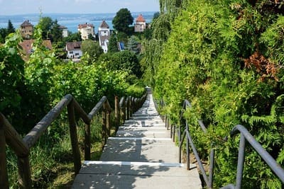 stairs-4931763_640 (1) (1)